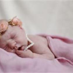 Christine OBrien Newborn Photographer - profile picture