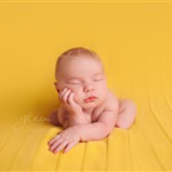 Olga Dukach Newborn Photographer - profile picture