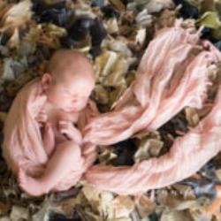 Jennifer Clayton-Gronde Newborn Photographer - profile picture